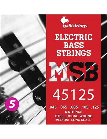 string set electric 5-string bass, steel medium, 0