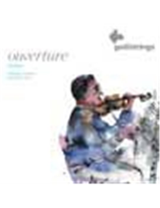 violin string set, 4/4, premium synthetic core