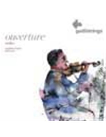 violin string set, 3/4, premium steel core 2