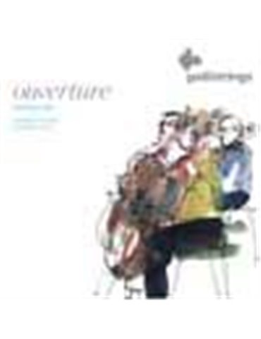 cello string set, 4/4, premium synthetic core 2