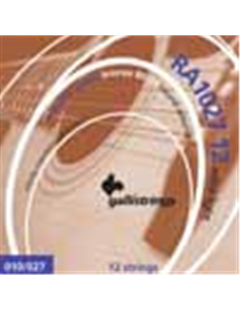 12-string set acoustic 80/20 bronze, light, 2x010-