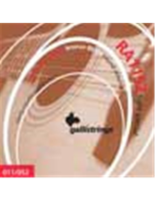 string set acoustic 80/20 bronze wound, light spec