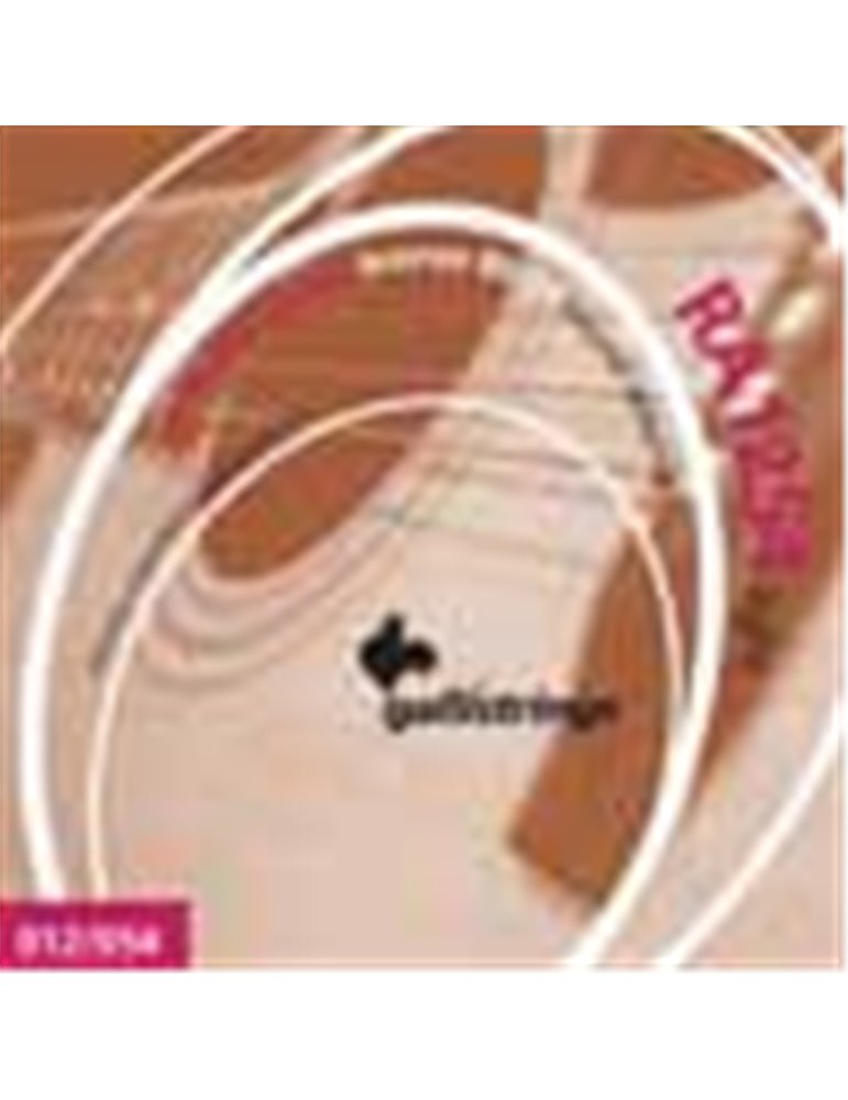 string set acoustic 80/20 bronze wound, light, 012