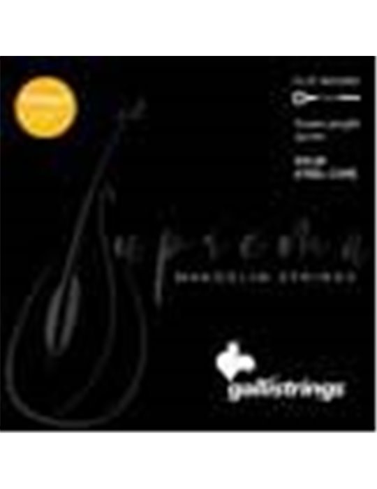 string set mandolin, chrome steel flatwound, light