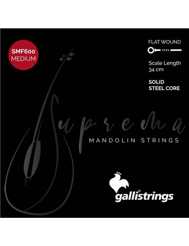 string set mandolin, chrome steel flatwound, mediu