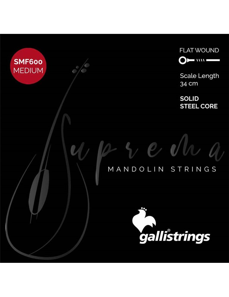 string set mandolin, chrome steel flatwound, mediu