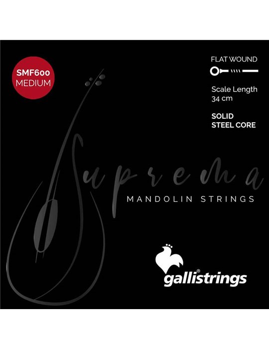 string set mandolin, chrome steel flatwound, mediu