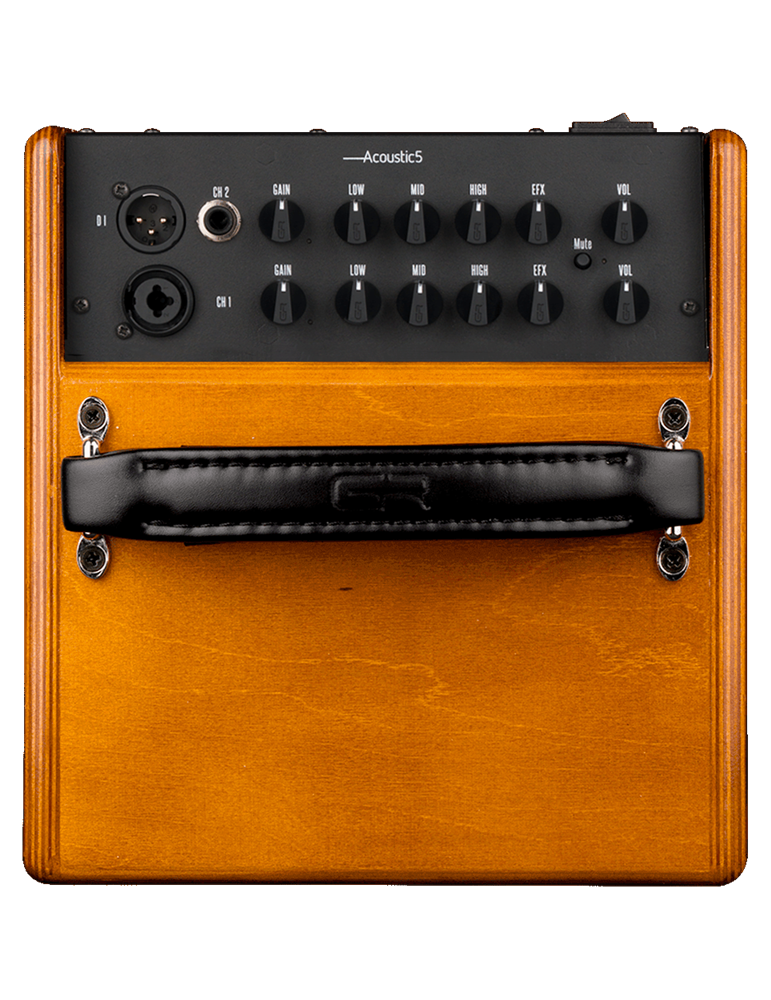 AMPLIFICADOR COMBO ACÚSTICA WD5 80W