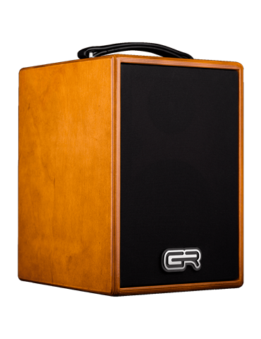 AMPLIFICADOR COMBO ACÚSTICA WD6 120W