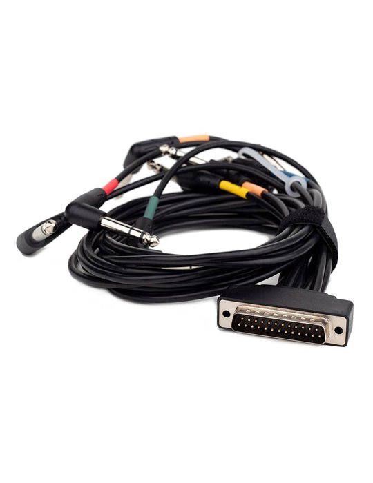 Batería digital Hayman compacta 12 kits