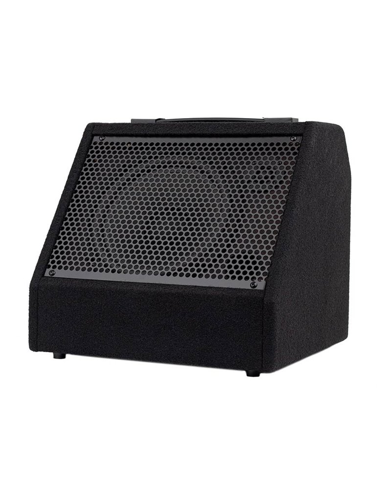 Monitor batería digital Hayman 30W bluetooth