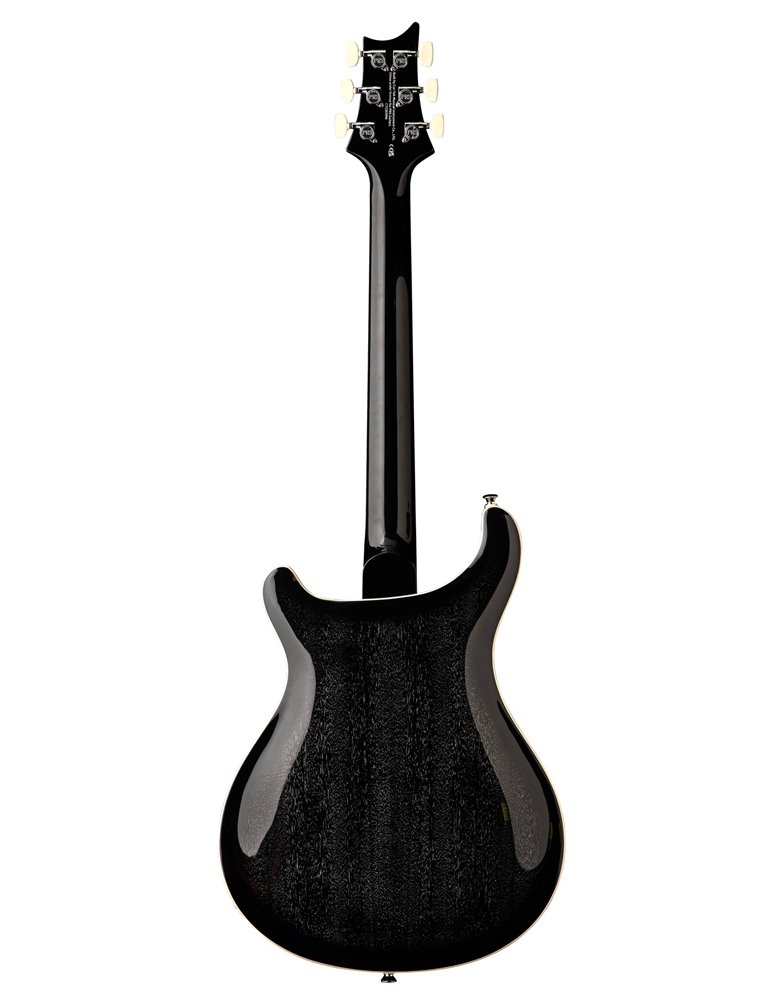SE HOLLOWBODY STANDARD DH DOG HAIR SMOKEBURST
