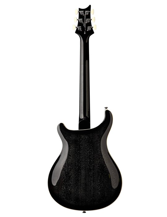 SE HOLLOWBODY STANDARD DH DOG HAIR SMOKEBURST