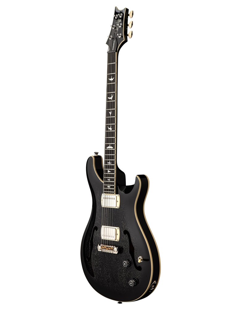 SE HOLLOWBODY STANDARD DH DOG HAIR SMOKEBURST
