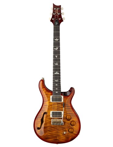 DGT SEMI-HOLLOW DARK CHERRY SUNBURST BIRDS