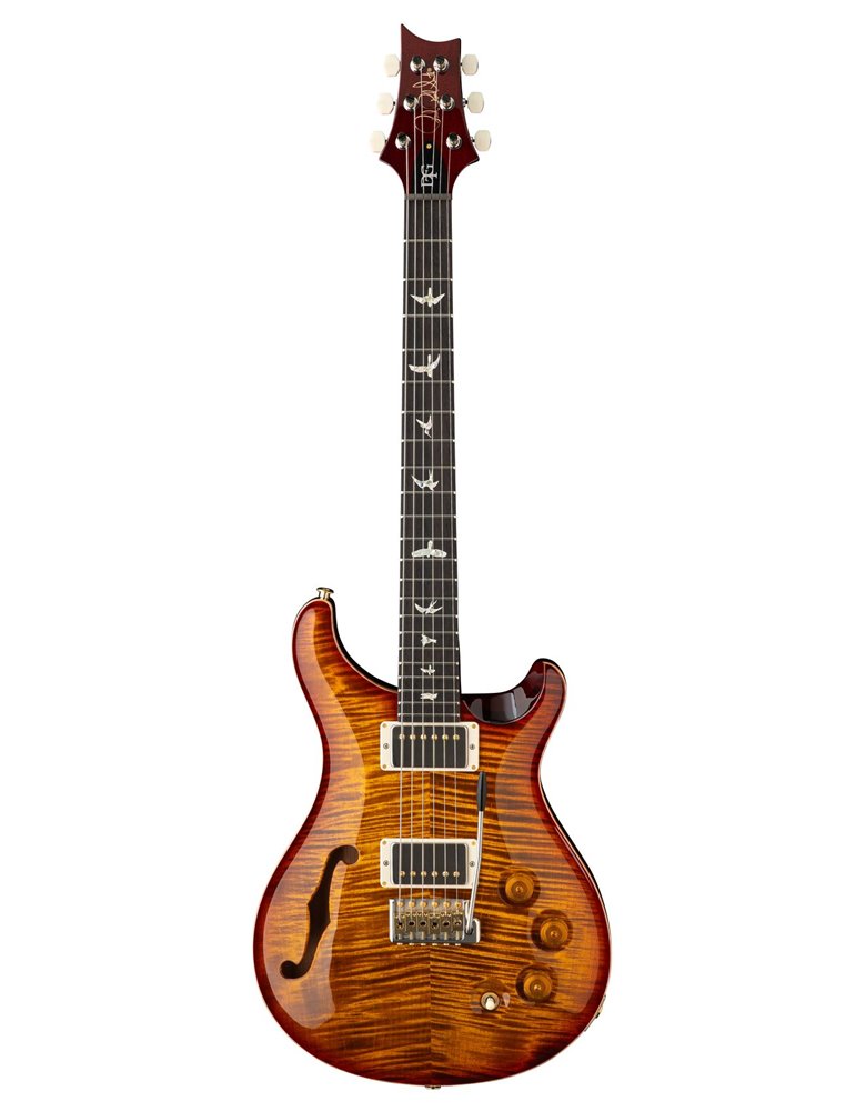 DGT SEMI-HOLLOW DARK CHERRY SUNBURST BIRDS