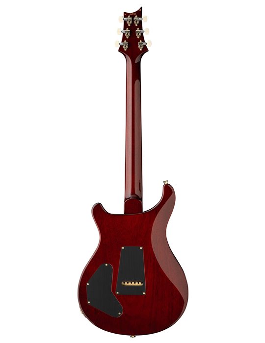 DGT SEMI-HOLLOW DARK CHERRY SUNBURST BIRDS