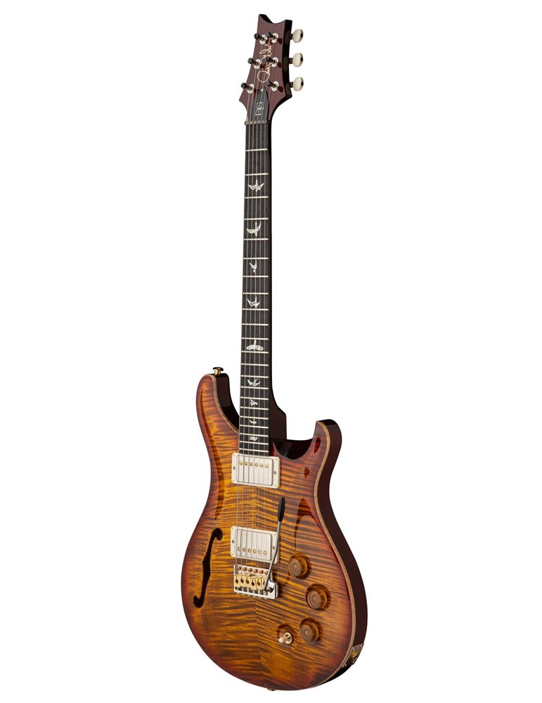 DGT SEMI-HOLLOW DARK CHERRY SUNBURST BIRDS