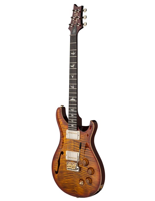 DGT SEMI-HOLLOW DARK CHERRY SUNBURST BIRDS