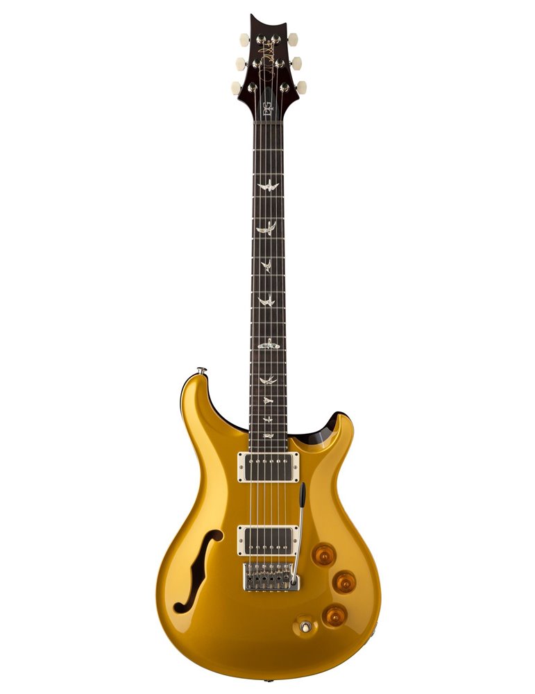 DGT SEMI-HOLLOW GOLD TOP BIRDS