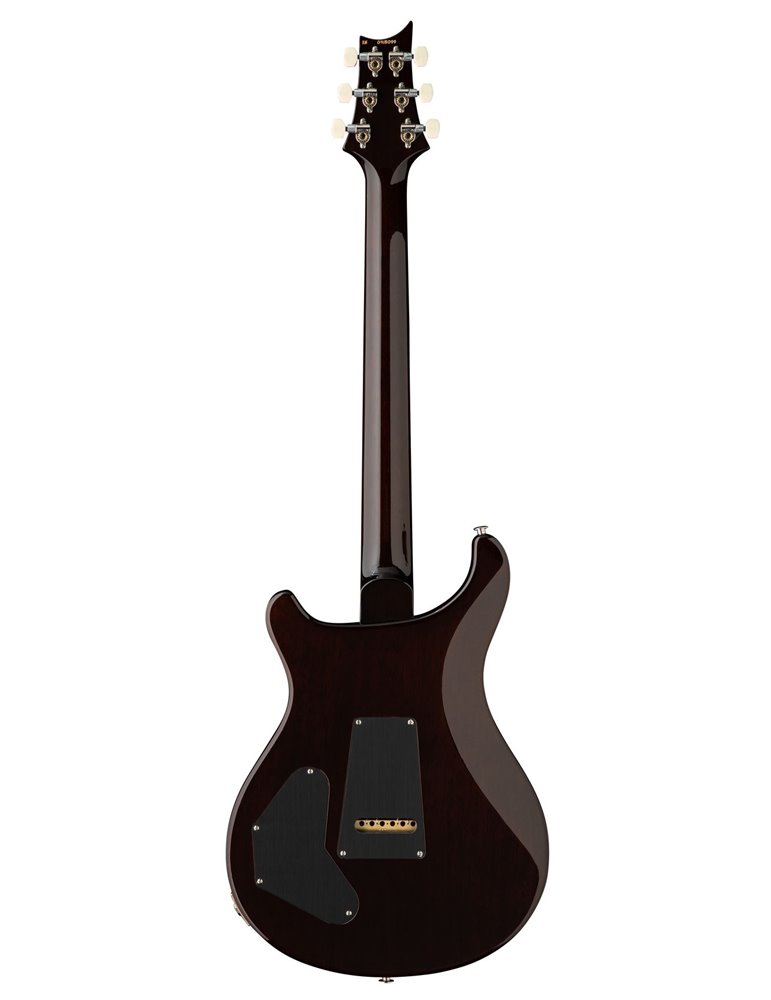 DGT SEMI-HOLLOW GOLD TOP BIRDS