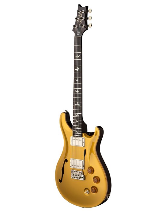 DGT SEMI-HOLLOW GOLD TOP BIRDS