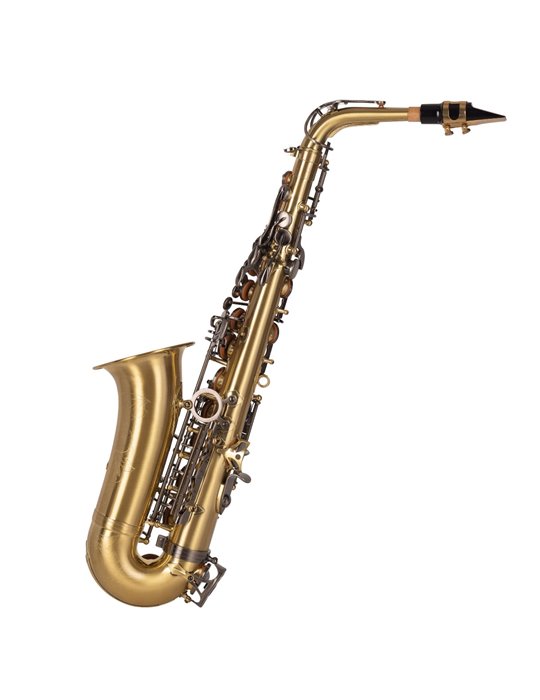 SAXO ALTO J. MICHAEL BPAL-AL1100AG