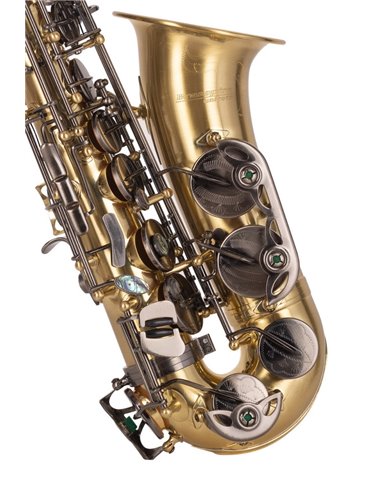 SAXO ALTO J. MICHAEL BPAL-AL1100AG 2