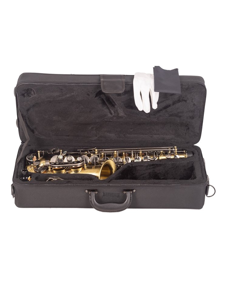 SAXO ALTO J. MICHAEL BPAL-AL1100AG