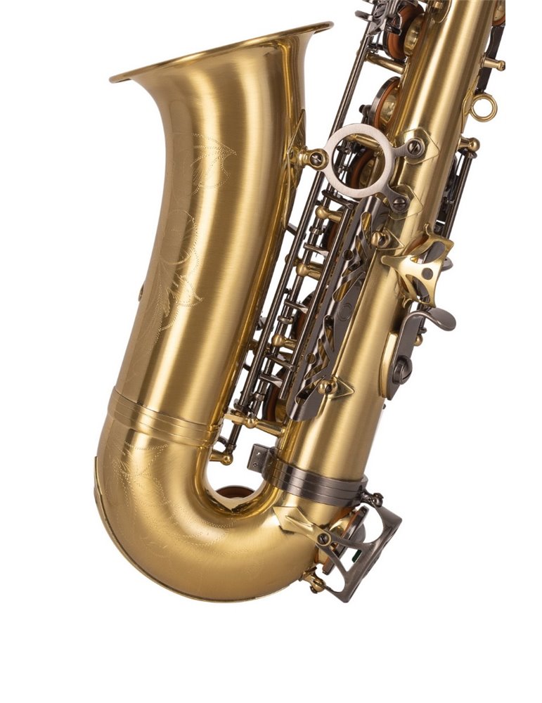 SAXO ALTO J. MICHAEL BPAL-AL1100AG
