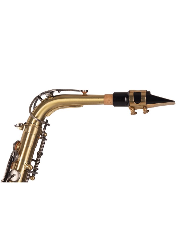 SAXO ALTO J. MICHAEL BPAL-AL1100AG