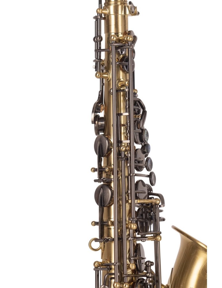 SAXO ALTO J. MICHAEL BPAL-AL1100AG