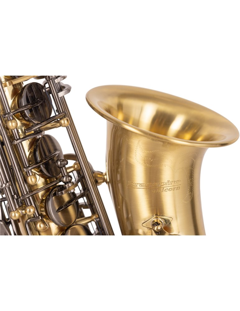 SAXO ALTO J. MICHAEL BPAL-AL1100AG