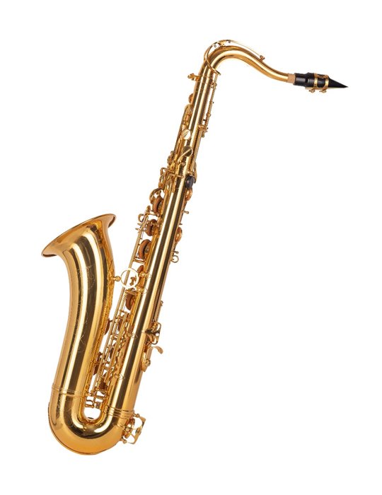 SAXO TENOR  J. MICHAEL LACADO TN900