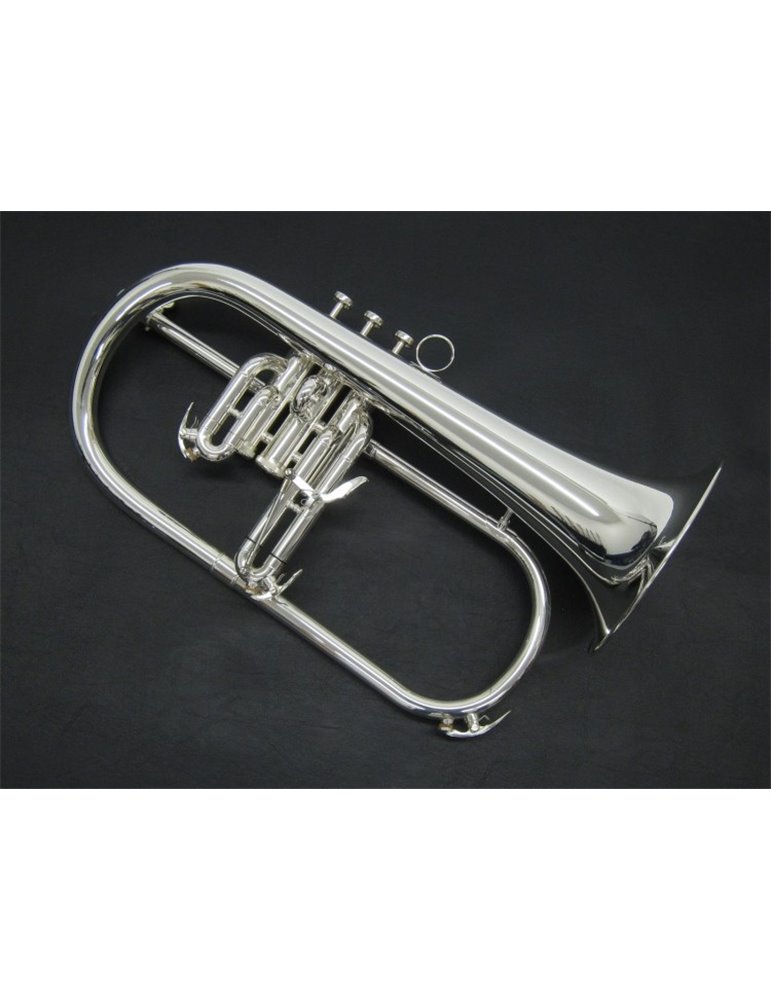 FLISCORNO J. MICHAEL BPFG-850S