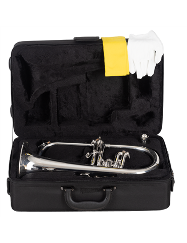 FLISCORNO J. MICHAEL PLATEADO FG550S 2