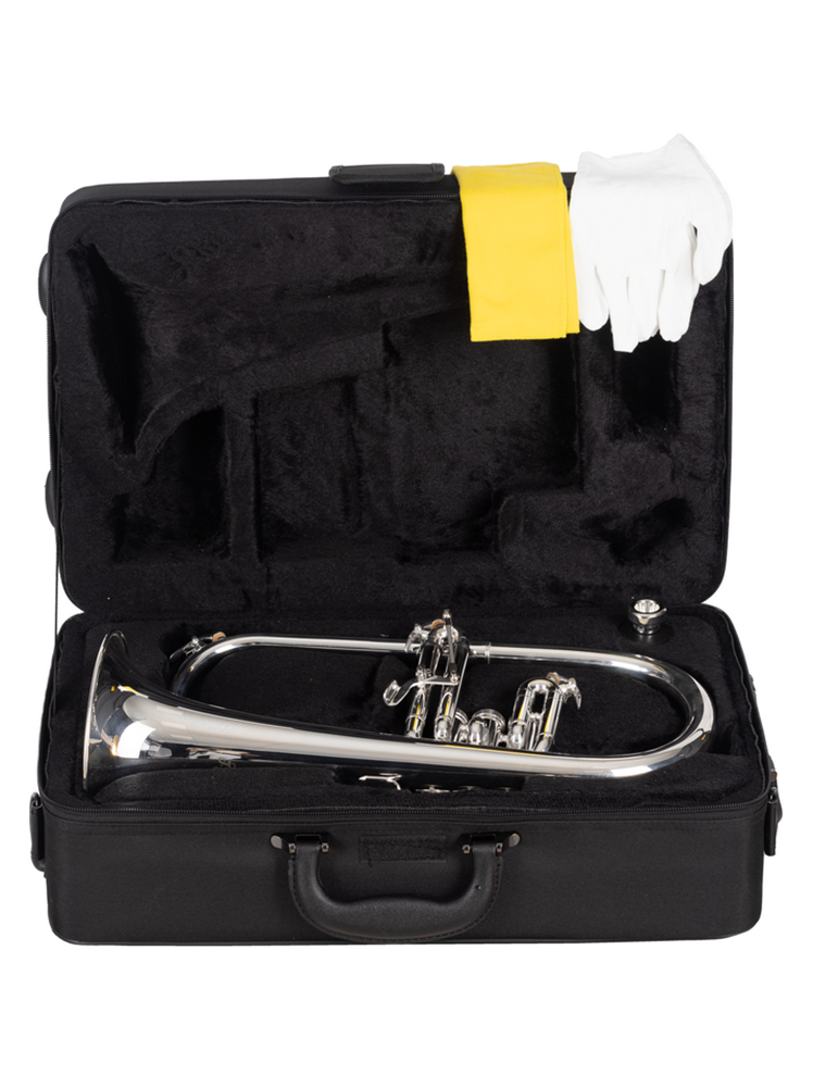 FLISCORNO J. MICHAEL PLATEADO FG550S