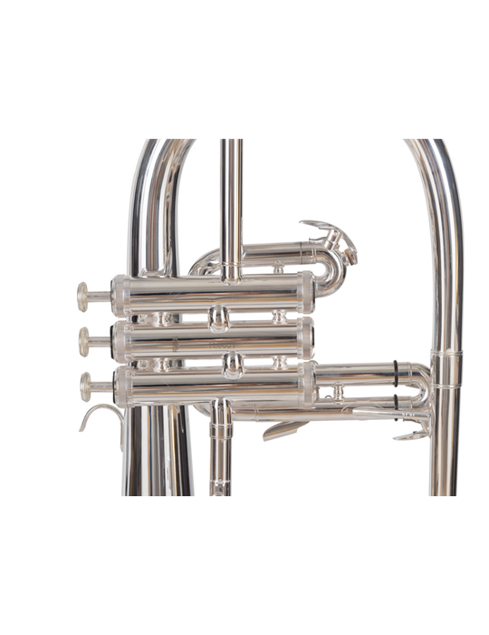 FLISCORNO J. MICHAEL PLATEADO FG550S