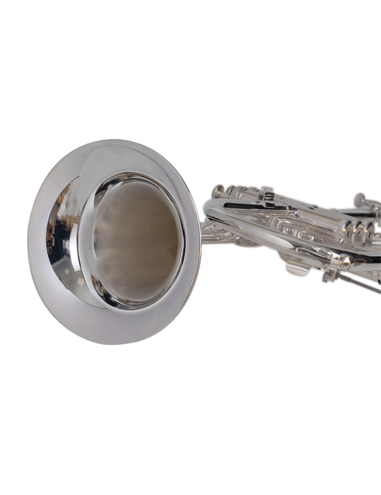 FLISCORNO J. MICHAEL PLATEADO FG550S