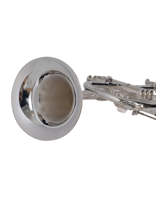 FLISCORNO J. MICHAEL PLATEADO FG550S