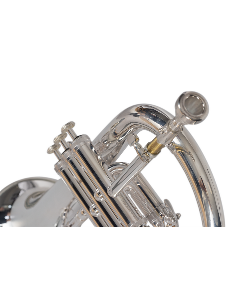 FLISCORNO J. MICHAEL PLATEADO FG550S