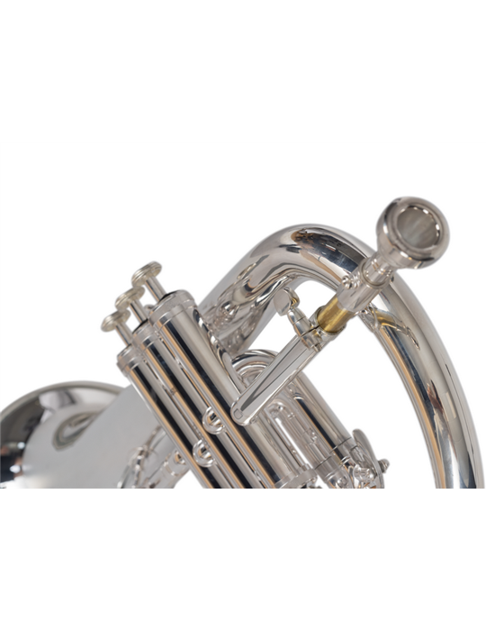 FLISCORNO J. MICHAEL PLATEADO FG550S