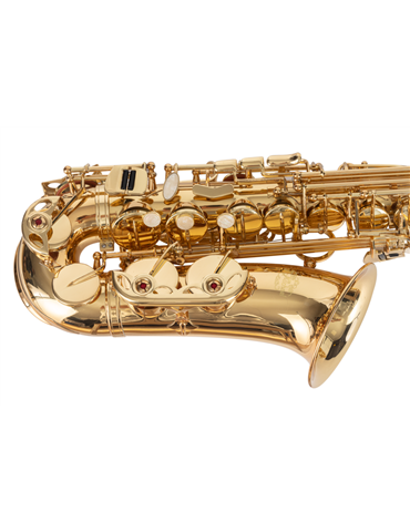 SAXO ALTO J. MICHAEL LACADO AL500 2