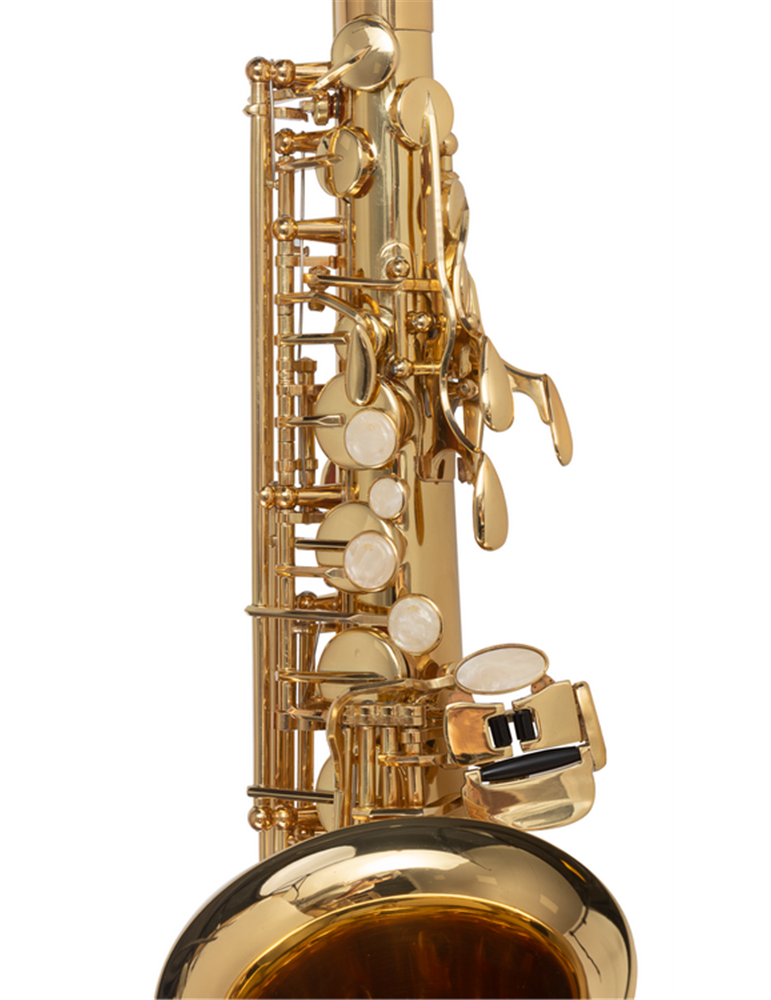 SAXO ALTO J. MICHAEL LACADO AL500