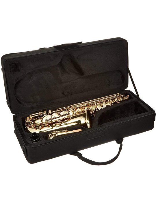 SAXO ALTO J. MICHAEL LACADO AL500