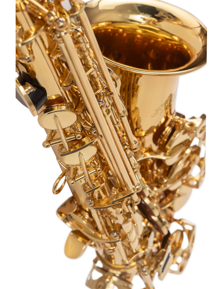 SAXO ALTO J. MICHAEL LACADO AL500