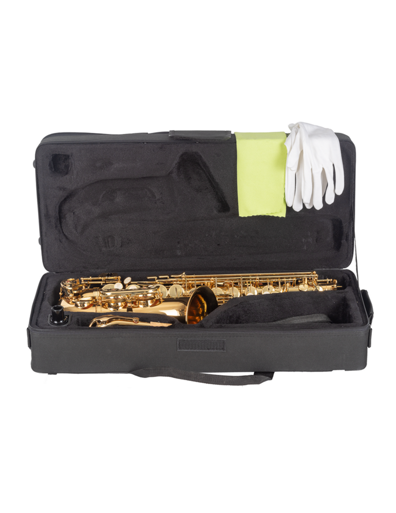 SAXO ALTO J. MICHAEL LACADO AL500