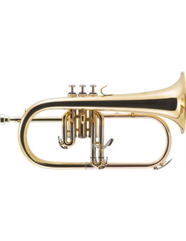 FLISCORNO J. MICHAEL EN SIB FG500