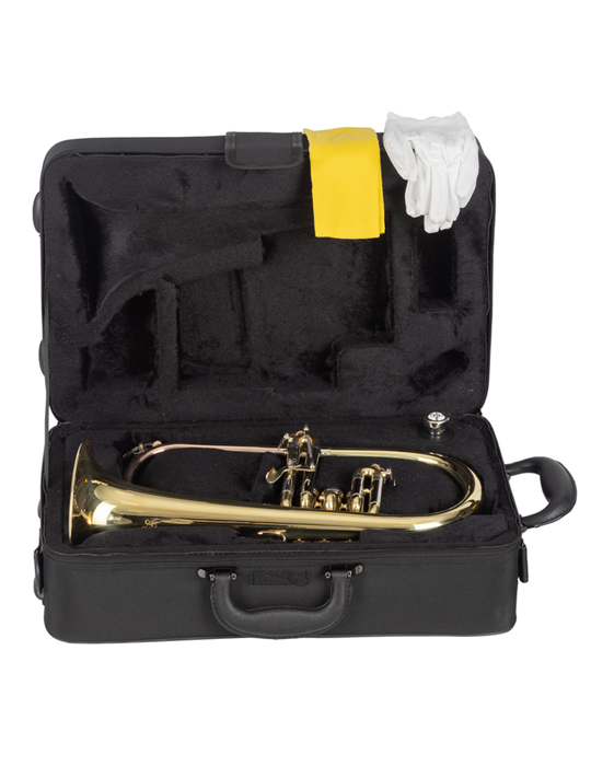 FLISCORNO J. MICHAEL EN SIB FG500