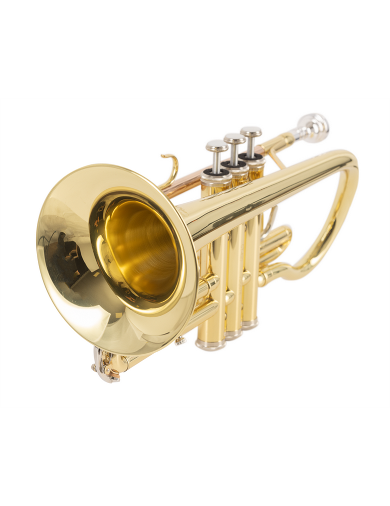 CORNETA J. MICHAEL EN SI BEMOL CT420